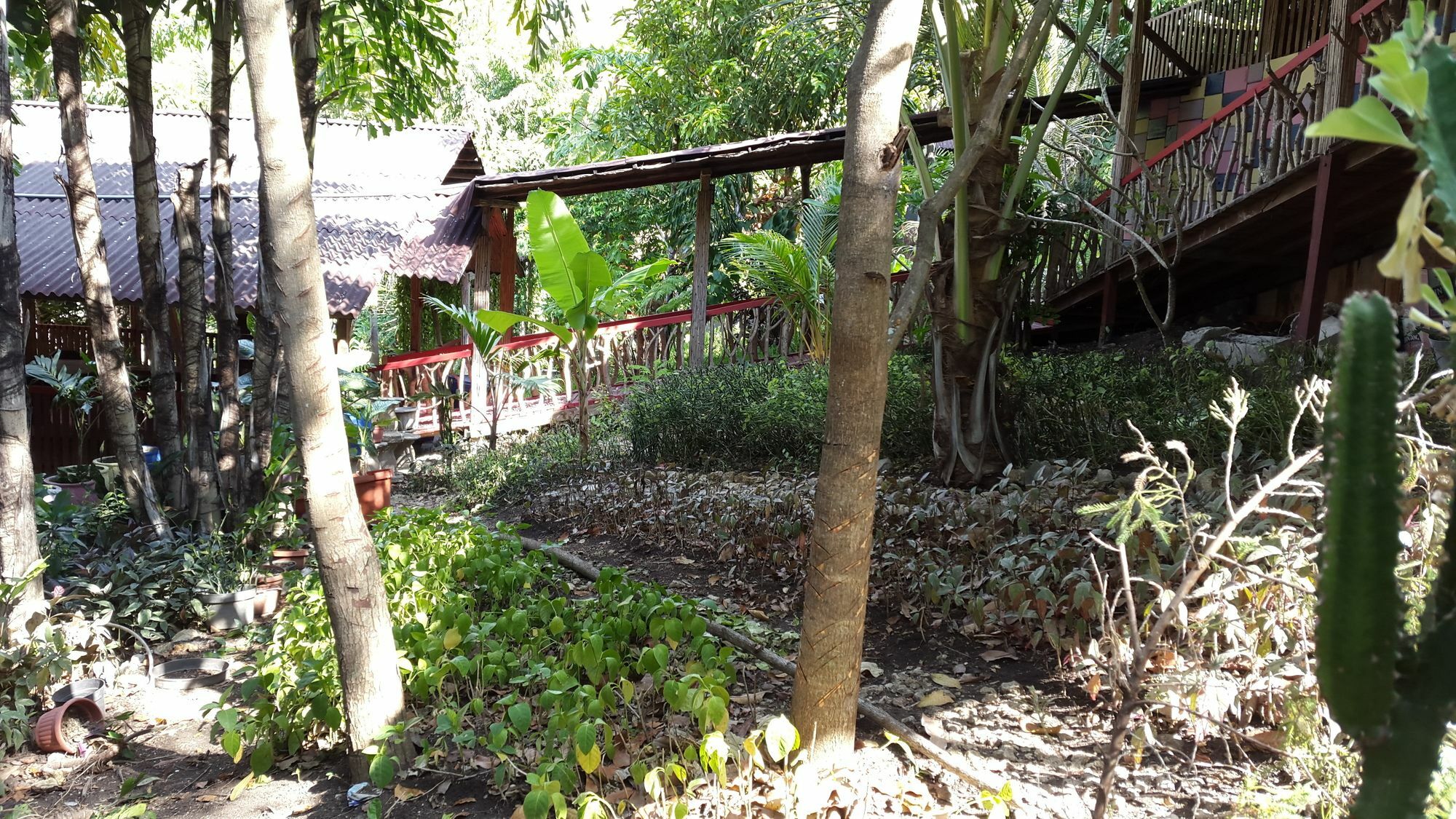 Centro Bajo Hotel & Resto Labuan Bajo Esterno foto