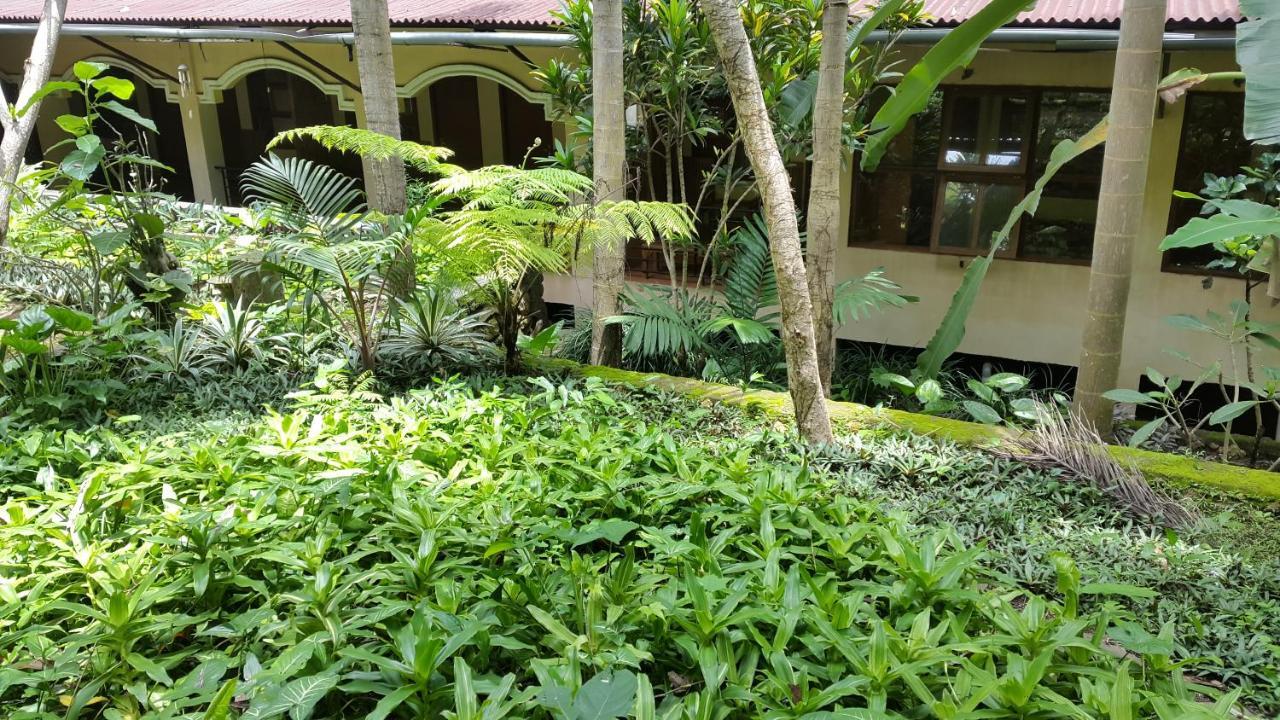Centro Bajo Hotel & Resto Labuan Bajo Camera foto